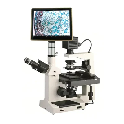 Microscopio biologico invertito Bm